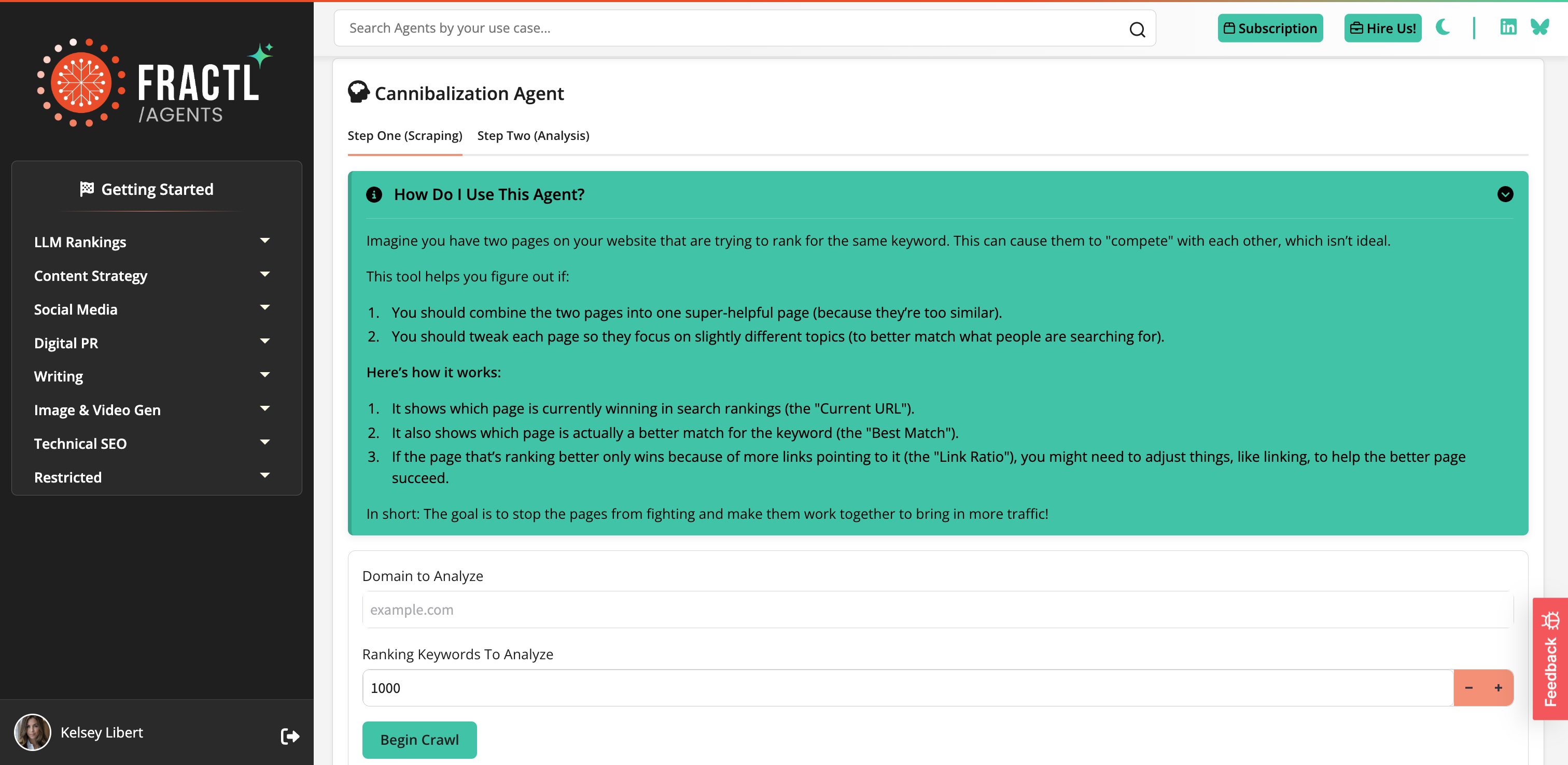 Cannibalization Compass Agent Interface